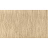 Indola Colour Blonde Expert Pastel P.01 - WAHairSuppliers