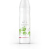 Wella Elements Renewing Shampoo 250ml - WAHairSuppliers