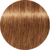 Schwarzkopf Igora Royal Disheveled Nudes 8-176 Light Blonde Cendre Copper Chocolate - WAHairSuppliers