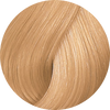 Wella Color Fresh 10/36-Lightest Gold Violet Blonde - WAHairSuppliers