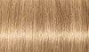 Indola Colour 9.03+-Light Blonde Natural Gold Intense - WAHairSuppliers