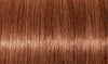 Indola Colour 7.38+-Medium Blonde Gold Chocolate Intense - WAHairSuppliers