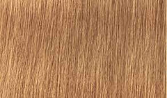 Indola Colour 9.3- Very Light Blonde Gold