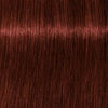 Schwarzkopf Igora Royal Absolutes 5-80 Light brown Red Natural - WAHairSuppliers